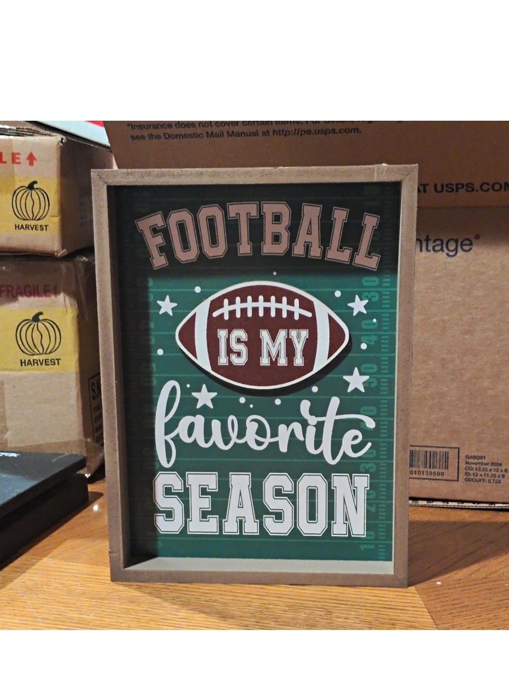 Football Is My Favorite Season Framed Sign - Green